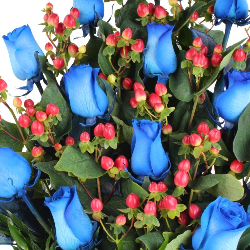 Foto 4 Jardín de Rosas Azul - Flores a domicilio Foto 4 Jardín de Rosas Azul - Flores a domicilio