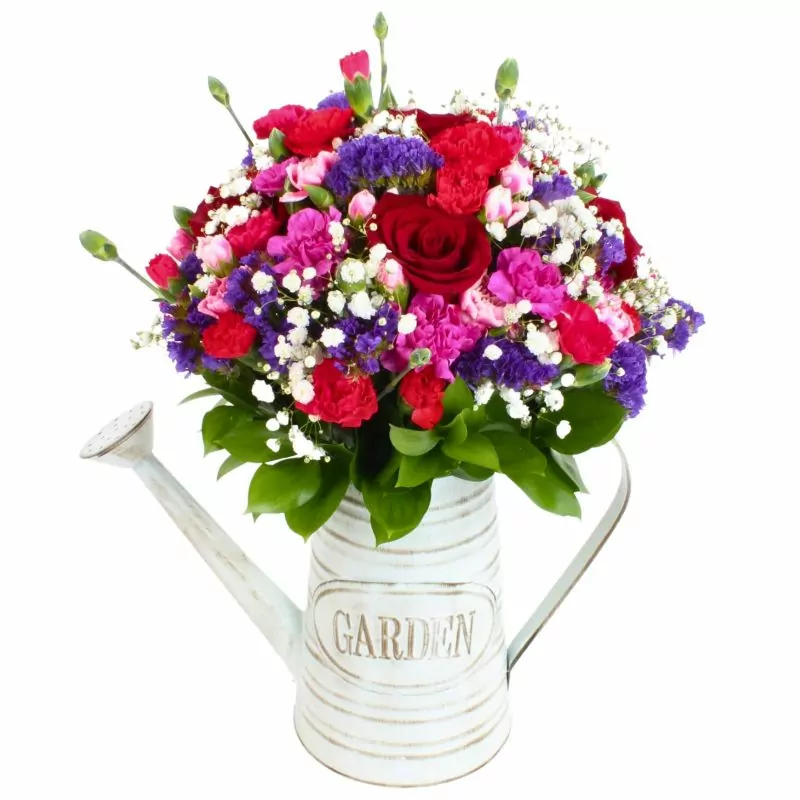 Colores de Frida Rojo en Regadera - Regadera con rosas, claveles, estate y gypsophila