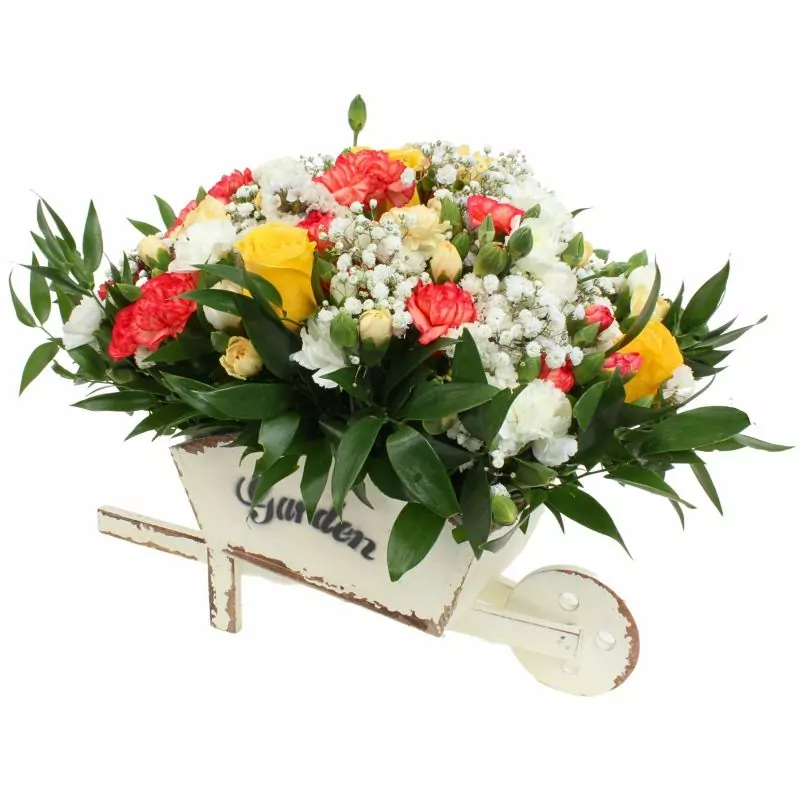 Colores de Frida Amarillo en Carretilla - Carretilla de madera con rosas, claveles, estate y gypsophilia