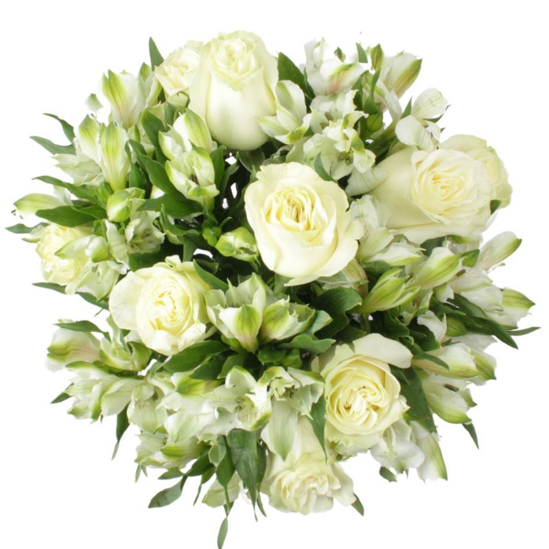 Foto 4 Amor Blanco en Anfora con 9 rosas - Flores a domicilio Foto 4 Amor Blanco en Anfora con 9 rosas - Flores a domicilio