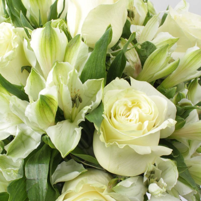 Foto 5 Amor Blanco en Anfora con 9 rosas - Flores a domicilio Foto 5 Amor Blanco en Anfora con 9 rosas - Flores a domicilio
