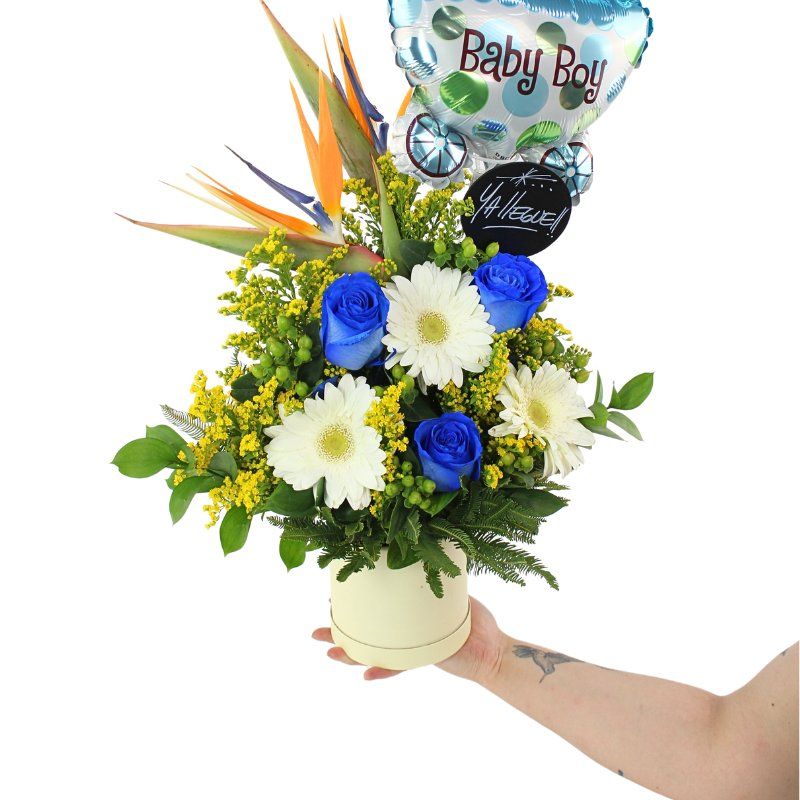 Foto con persona Bienvenida Mágica Rosas Azul - Flores a domicilio Foto con persona Bienvenida Mágica Rosas Azul - Flores a domicilio