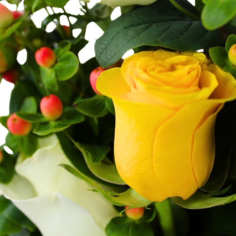 Foto 4 Fiesta de Rosas blanco y amarillo - Flores a domicilio Foto 4 Fiesta de Rosas blanco y amarillo - Flores a domicilio
