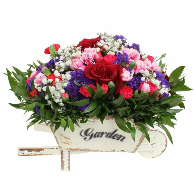 Foto 5 Colores de Frida Rojo en Carretilla - Carretilla de madera con rosas, claveles, estate y gypsophilia