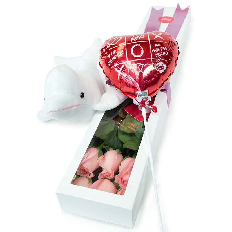 Flores a domicilio - 6 rosas ecuatorianas más peluche ballena blanca y globo Flores a domicilio - 6 rosas ecuatorianas más peluche ballena blanca y globo