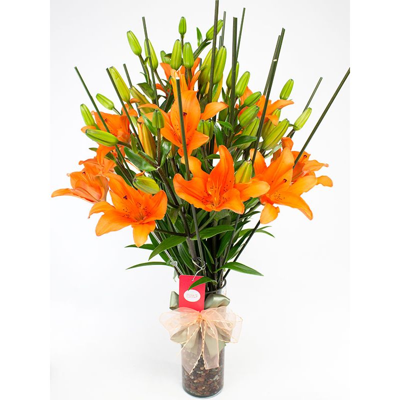 Foto 4 Jardín de liliums Naranja - Flores a domicilio Foto 4 Jardín de liliums Naranja - Flores a domicilio