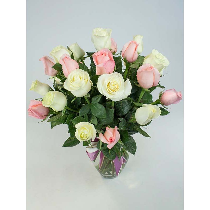 Foto 2 Florero anfora con 24 Rosas mix blancas y rosadas - Flores a domicilio Foto 2 Florero anfora con 24 Rosas mix blancas y rosadas - Flores a domicilio