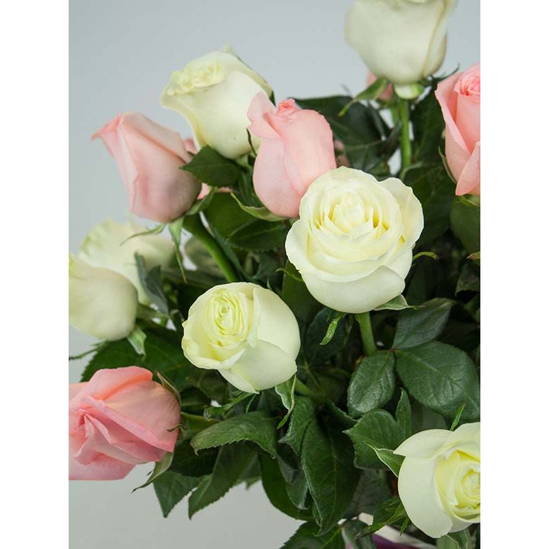 Foto 4 Florero anfora con 24 Rosas mix blancas y rosadas - Flores a domicilio Foto 4 Florero anfora con 24 Rosas mix blancas y rosadas - Flores a domicilio