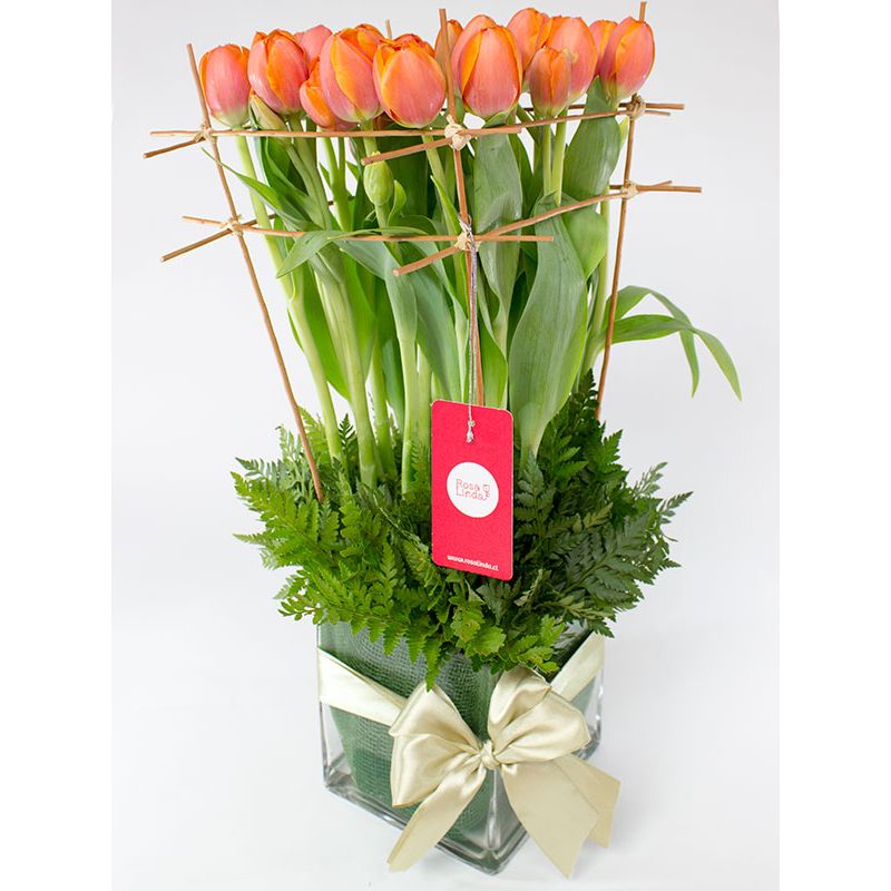 Foto 4 Jardín de Tulipanes Naranja - Flores a domicilio Foto 4 Jardín de Tulipanes Naranja - Flores a domicilio