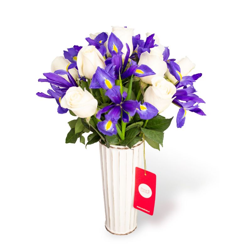 Flores a domicilio - Sorpresa de Iris Flores a domicilio - Sorpresa de Iris
