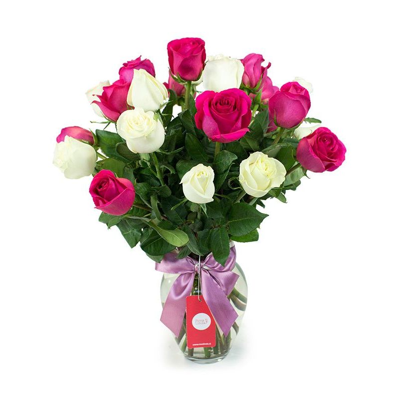 Flores a domicilio - Florero anfora con 24 Rosas mix blancas y fucsia Flores a domicilio - Florero anfora con 24 Rosas mix blancas y fucsia
