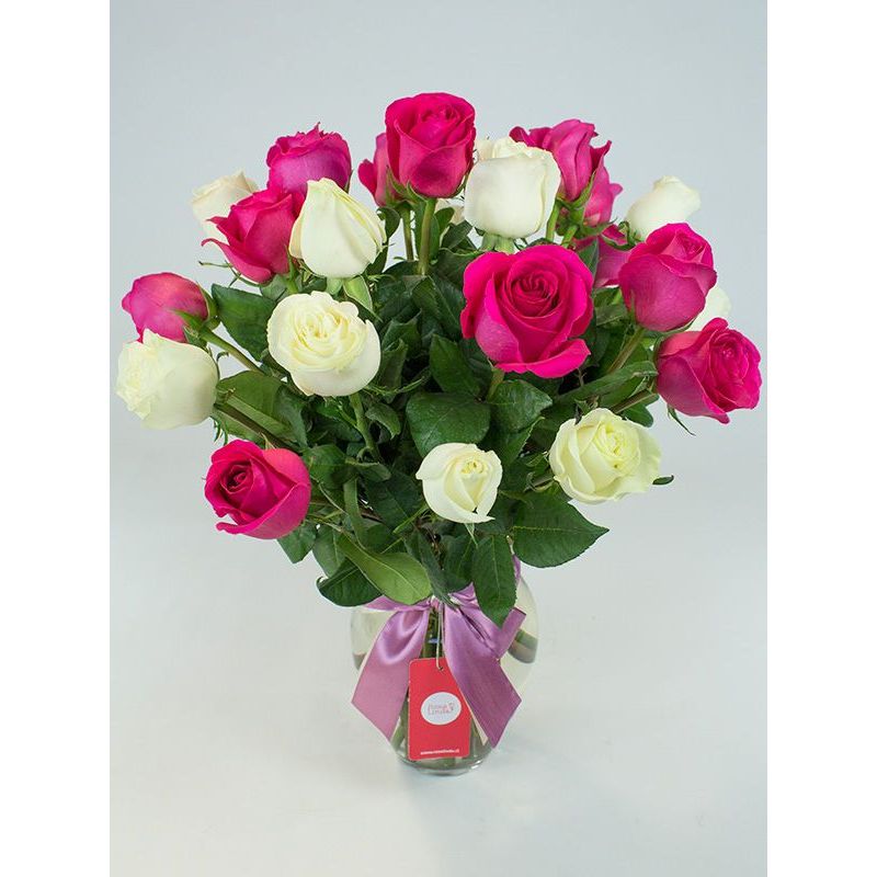 Foto 2 Florero anfora con 24 Rosas mix blancas y fucsia - Flores a domicilio Foto 2 Florero anfora con 24 Rosas mix blancas y fucsia - Flores a domicilio
