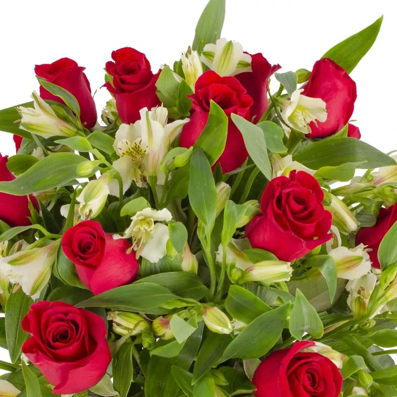 Foto 5 Amor rojo en anfora - Florero vidrio con rosas rojas y astromelias