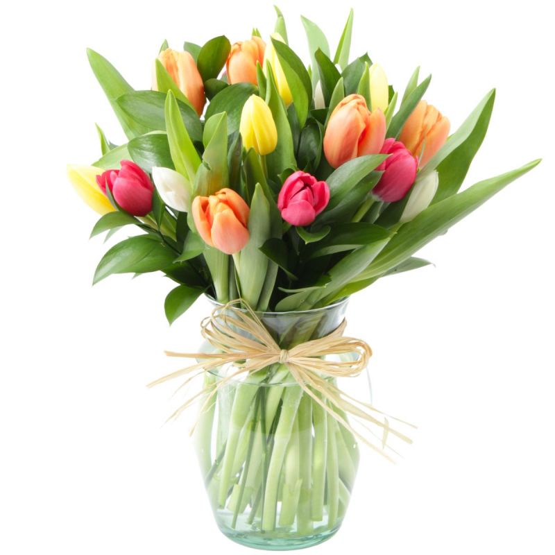 Foto 4 Tulipanes Multicolor en Ánfora - Flores a domicilio Foto 4 Tulipanes Multicolor en Ánfora - Flores a domicilio
