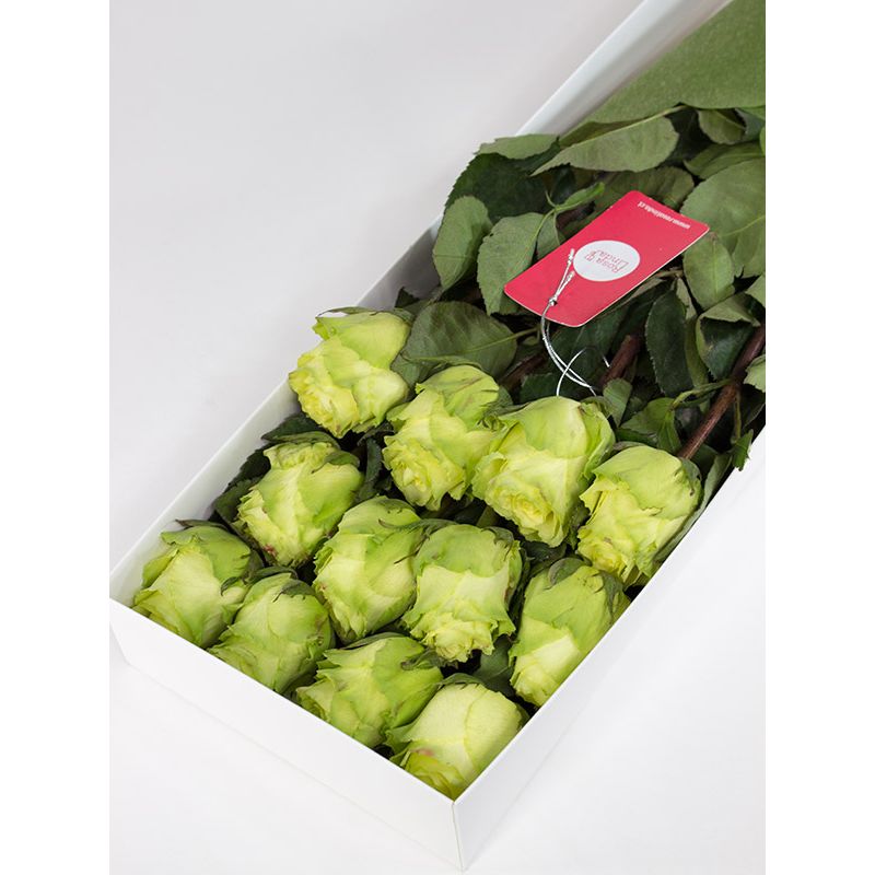 Foto 3 Caja con 12 rosas color verde limón - Flores a domicilio Foto 3 Caja con 12 rosas color verde limón - Flores a domicilio