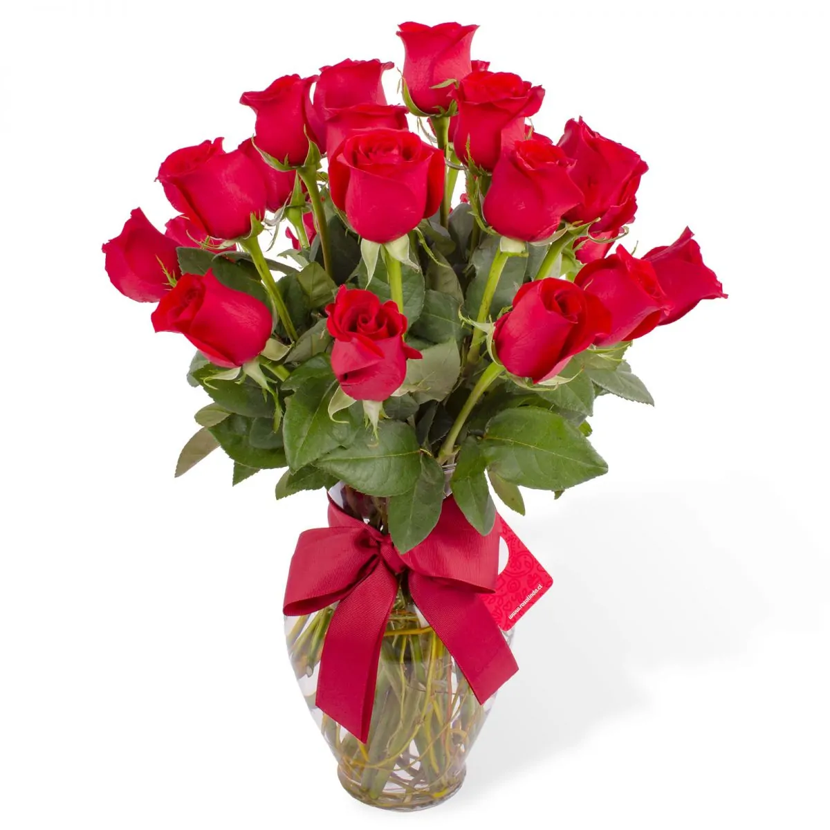 Foto principal Amparo - florero ánfora con 24 rosas rojas