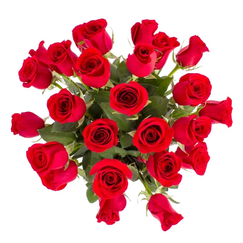 Foto 4 Amparo - florero ánfora con 24 rosas rojas