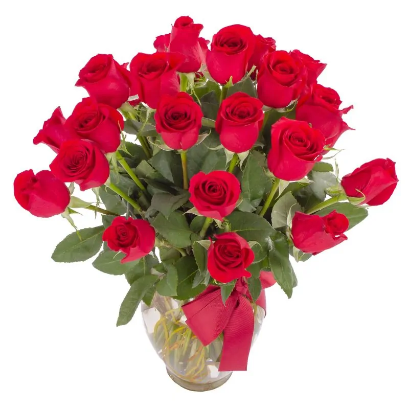 Foto 2 Amparo - florero ánfora con 24 rosas rojas