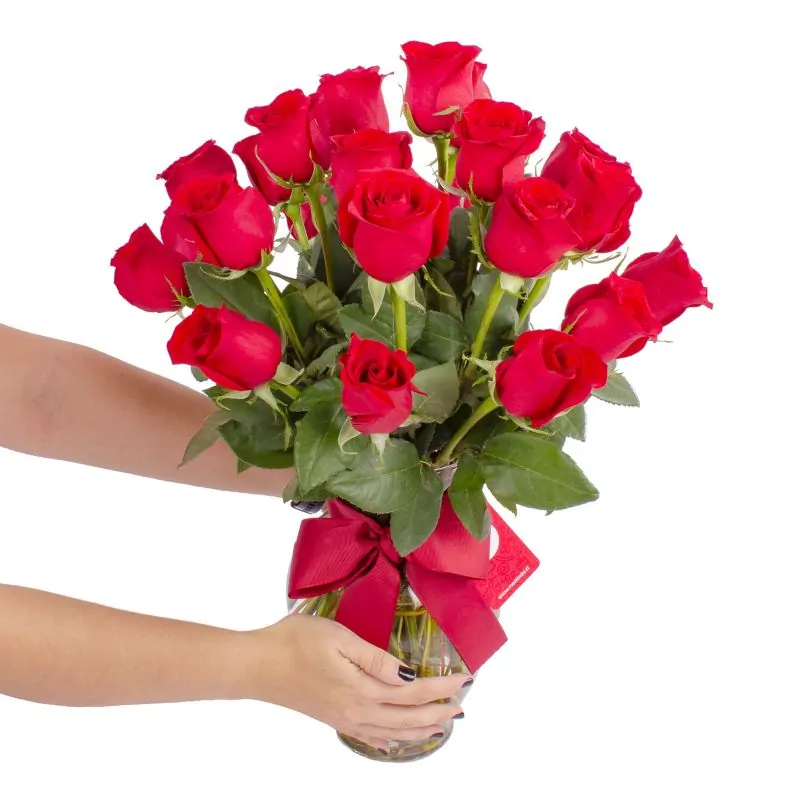 Foto 3 Amparo - florero ánfora con 24 rosas rojas