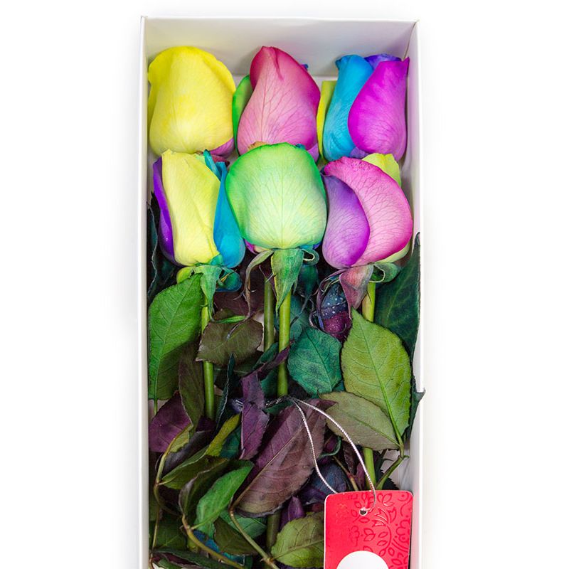Flores a domicilio - Caja con 6 rosas arcoiris Flores a domicilio - Caja con 6 rosas arcoiris