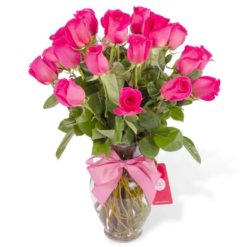 Amparo - florero ánfora con 24 rosas fucsias