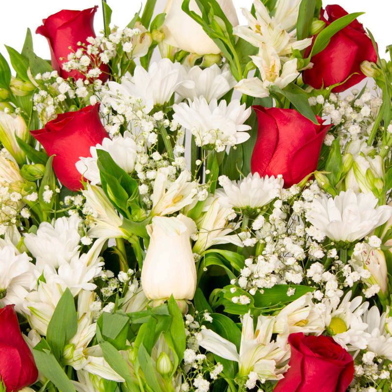 Foto 5 Pésame con rosas rojas - Flores a domicilio Foto 5 Pésame con rosas rojas - Flores a domicilio