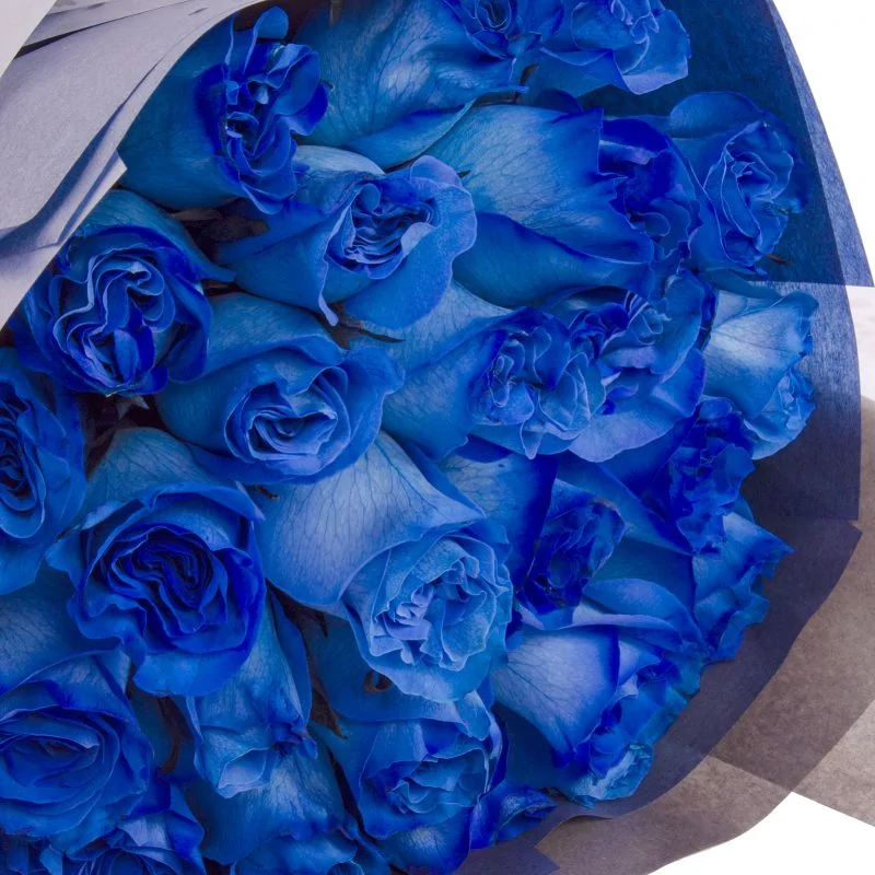 Foto 5 Ramo de rosas - Ramo circular con 24 rosas ecuatorianas azules