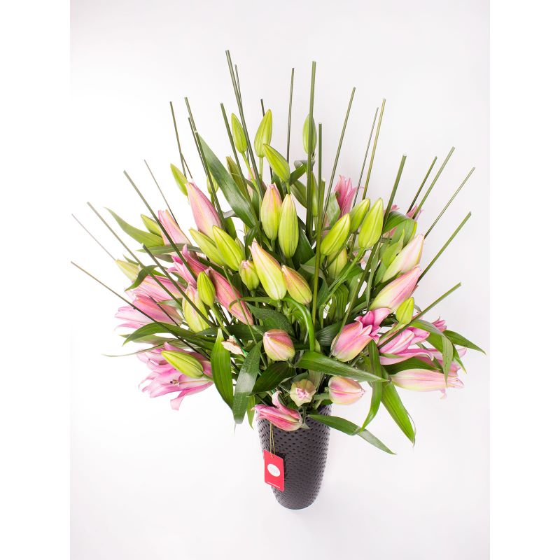 Foto 4 Jardín de Lilium Rosados - Flores a domicilio Foto 4 Jardín de Lilium Rosados - Flores a domicilio