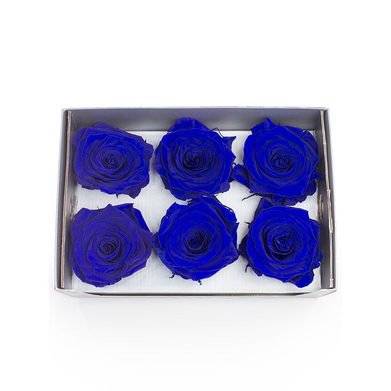 Rosas Naturales Preservadas Azules 6 und., Florería Rosalinda