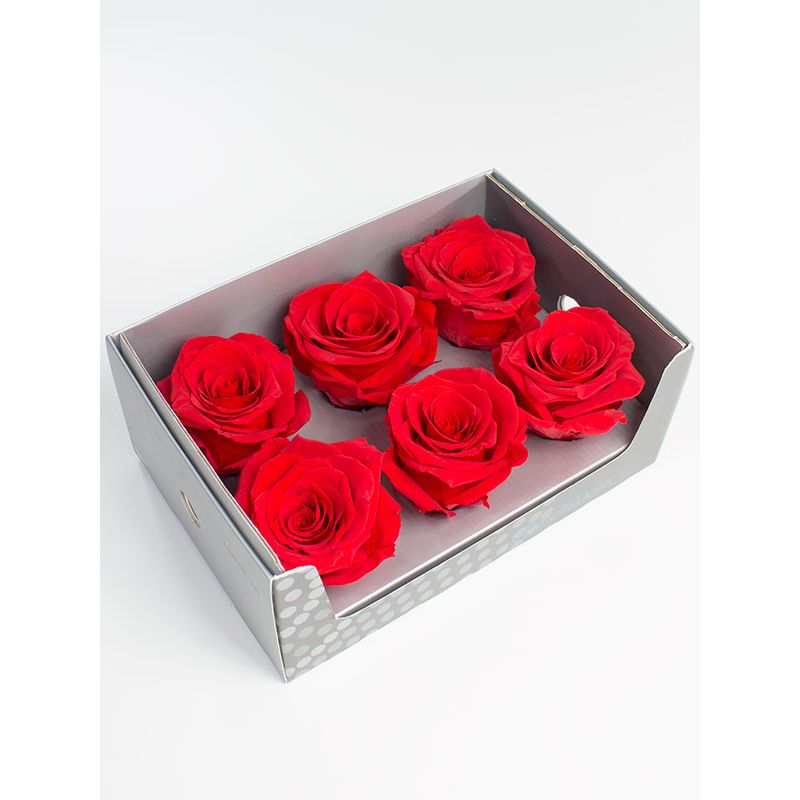 Foto 4 Rosas Naturales Preservadas Rojas 6 und - Flores a domicilio Foto 4 Rosas Naturales Preservadas Rojas 6 und - Flores a domicilio
