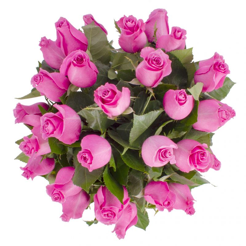 Foto 4 Amparo en Ánfora 24 rosas - Flores a domicilio Foto 4 Amparo en Ánfora 24 rosas - Flores a domicilio