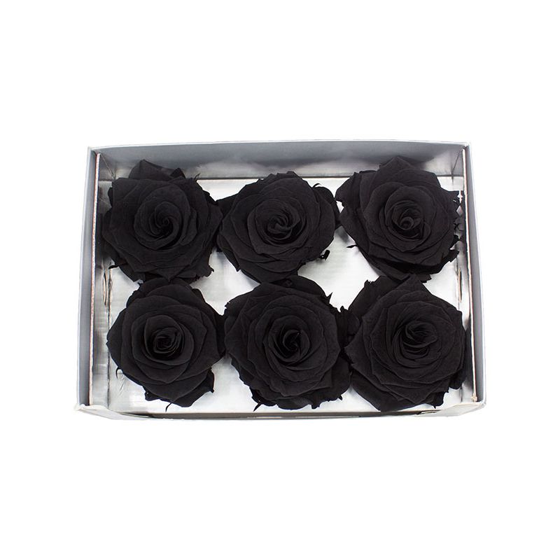 Flores a domicilio - Rosas Naturales Preservadas Negras 6 und Flores a domicilio - Rosas Naturales Preservadas Negras 6 und