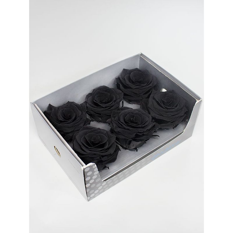 Foto 4 Rosas Naturales Preservadas Negras 6 und - Flores a domicilio Foto 4 Rosas Naturales Preservadas Negras 6 und - Flores a domicilio