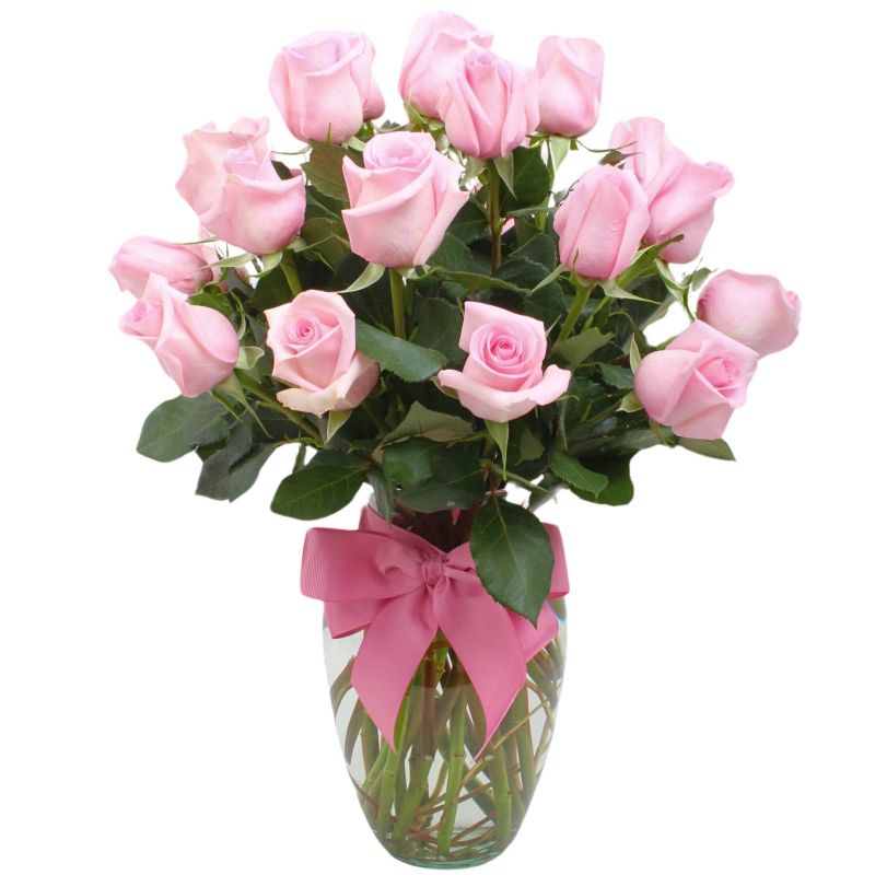 Amparo en Ánfora 24 rosas - florero ánfora con 24 rosas color rosado Amparo en Ánfora 24 rosas - florero ánfora con 24 rosas color rosado