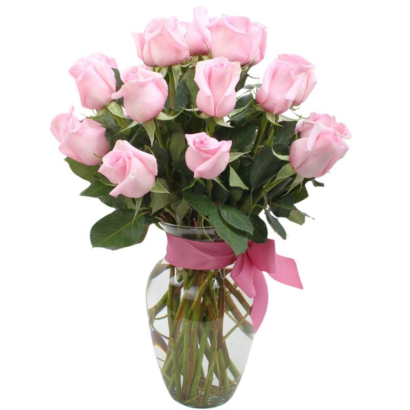 Foto 4 Amparo en Ánfora 24 rosas - Flores a domicilio Foto 4 Amparo en Ánfora 24 rosas - Flores a domicilio