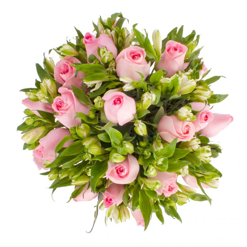 Foto 4 Amor rosado en anfora 18 rosas - Flores a domicilio Foto 4 Amor rosado en anfora 18 rosas - Flores a domicilio