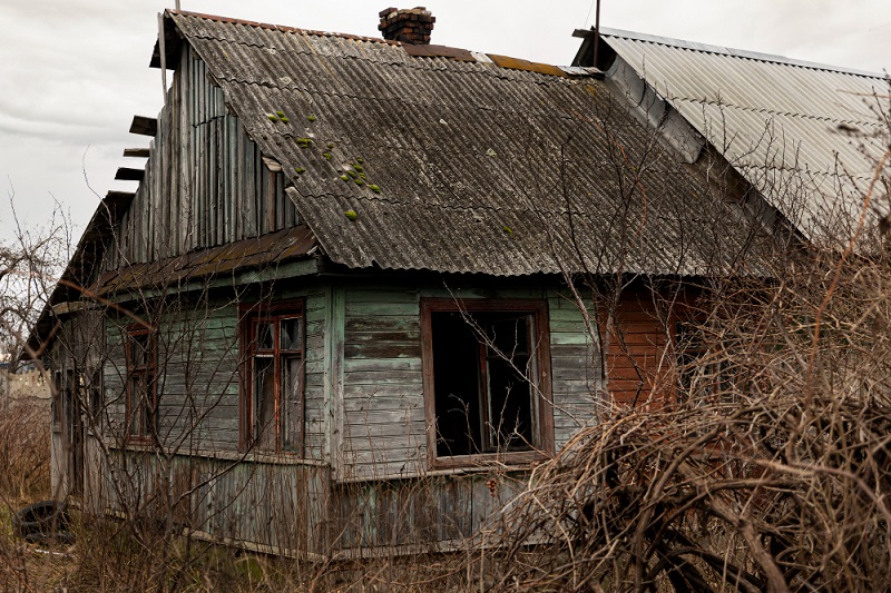 Заросший дачный участок (48 фото)