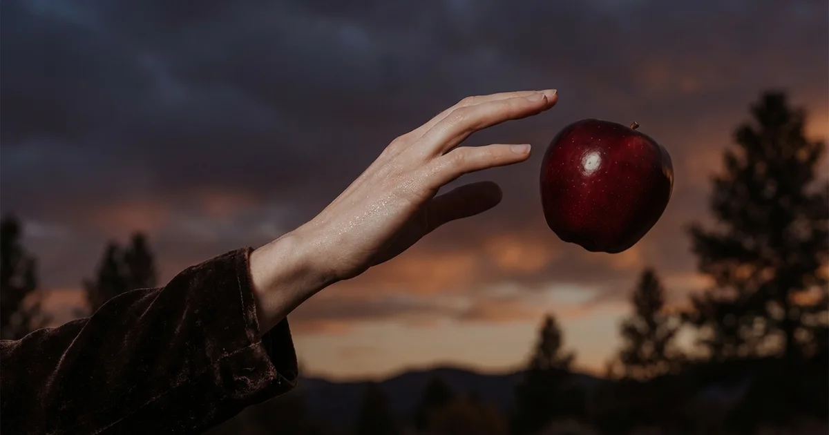 Twilight