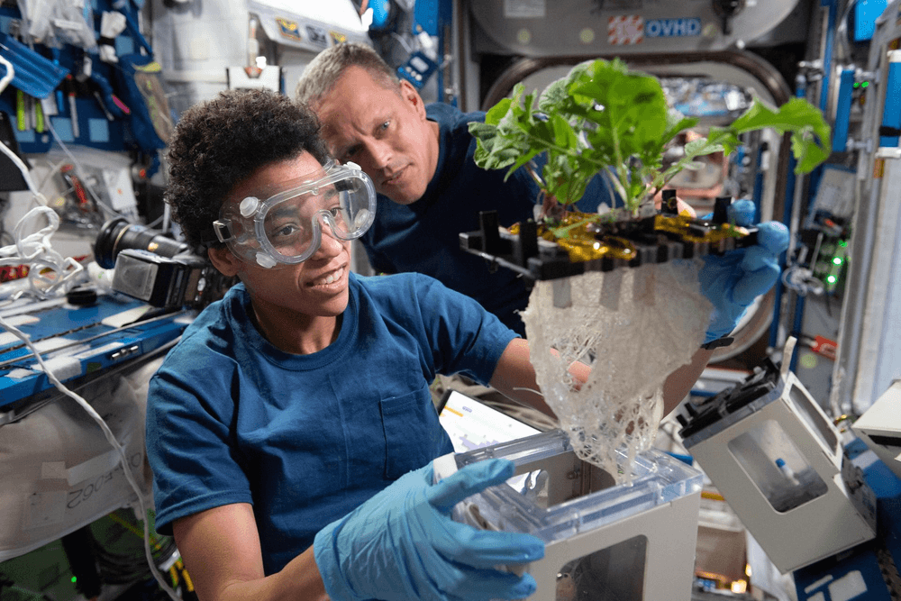 NASA astronauts Jessica Watkins and Bob Hines work on the XROOTS space botany investigation, which used the International Space Station’s (ISS) Veggie facility to test soilless hydroponic and aeroponic methods to grow plants. Credits: NASA