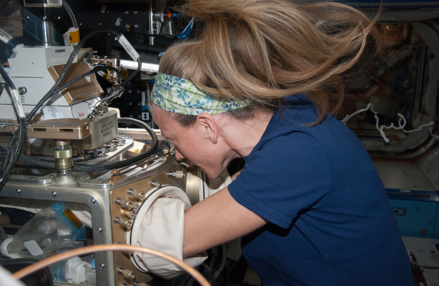 NASA astronaut Karen Nyberg, Expedition 37 flight engineer, works with test samples housed in the Light Microscopy Module inside the Fluids Integrated Rack of the International Space Station’s Destiny laboratory. Credits: NASA