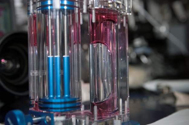 View of Capillary Flow Experiment aboard the space station. The purpose of this experiment is to investigate capillary flows and associated phenomena. Credits: NASA