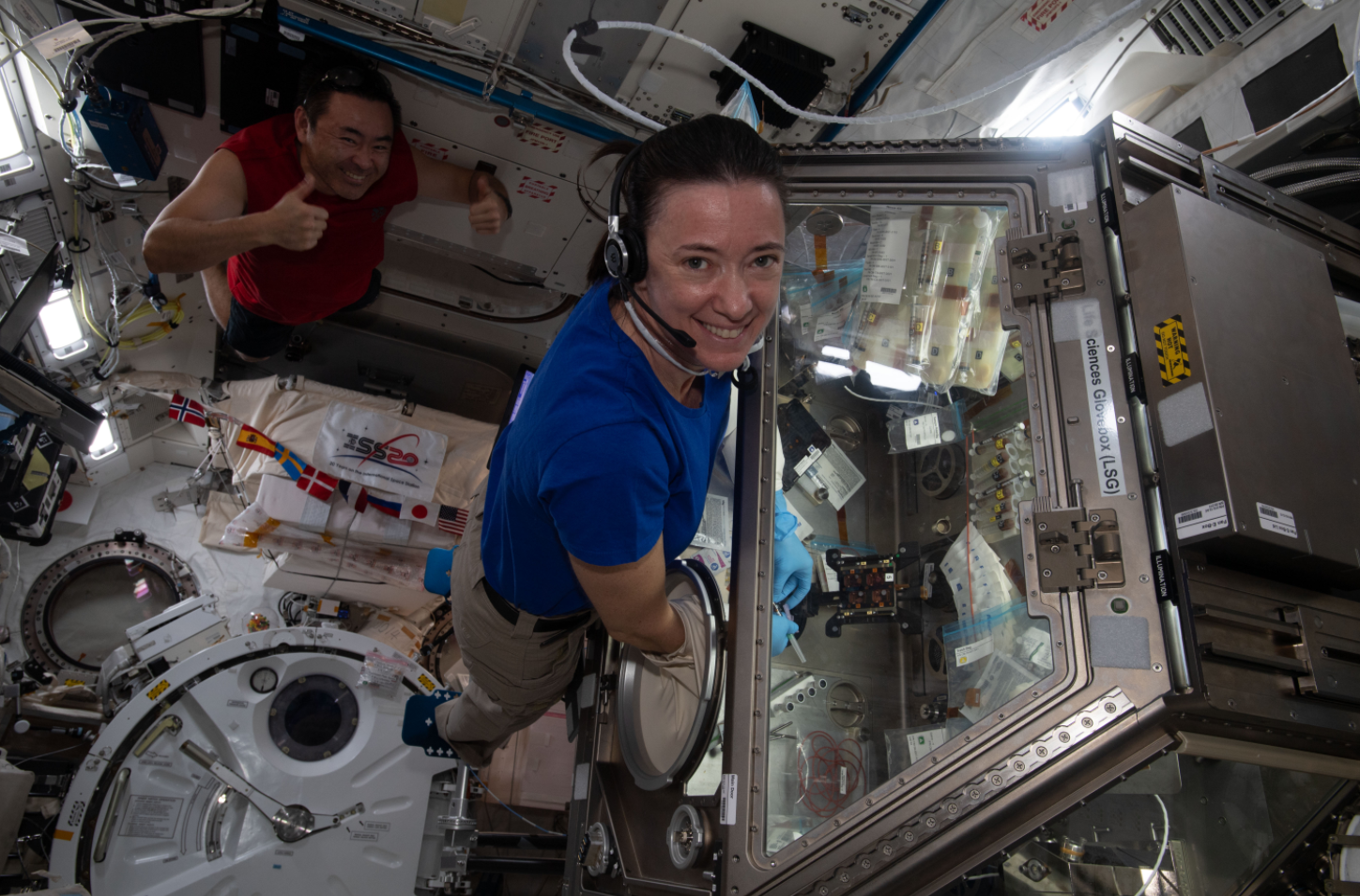 NASA astronaut and Expedition 65 Flight Engineer Megan McArthur works on the Cardinal Muscle investigation in the Life Sciences Glovebox aboard the International Space Station. This study tests whether such engineered tissues cultured in space could provide a model for studying muscle loss and assessing possible therapeutics prior to clinical trials. Credits: NASA