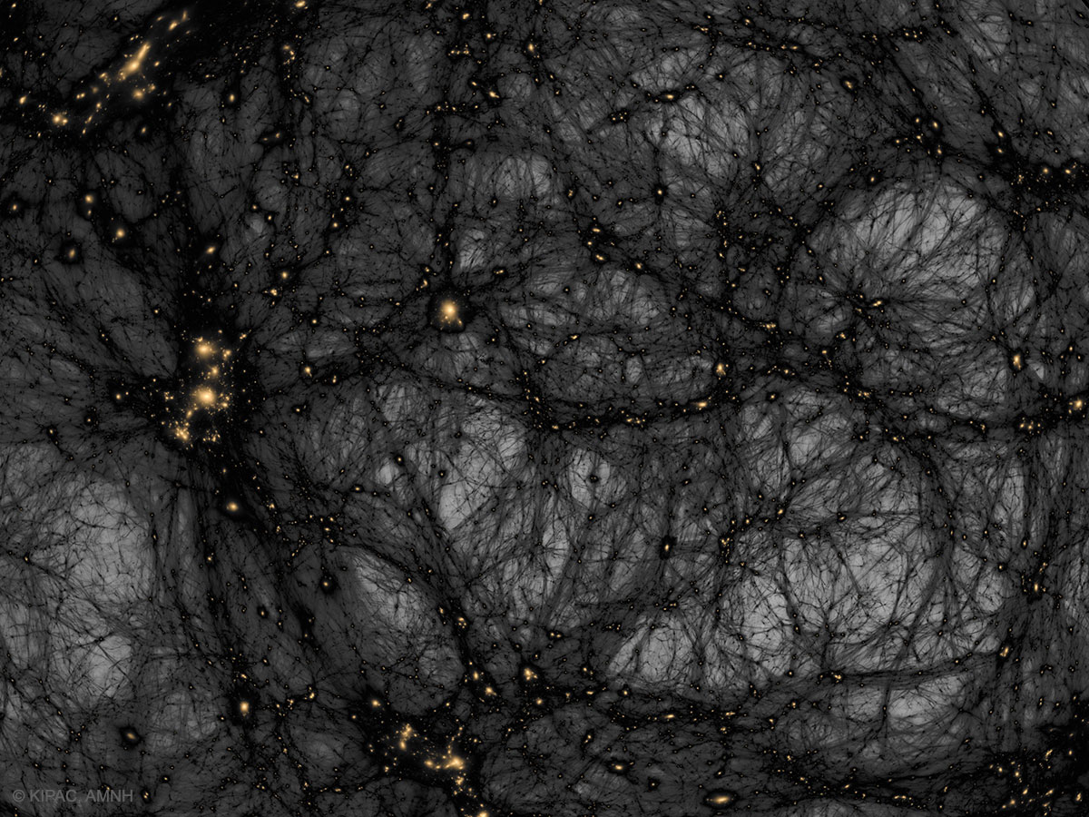 Dark matter in a simulated universe