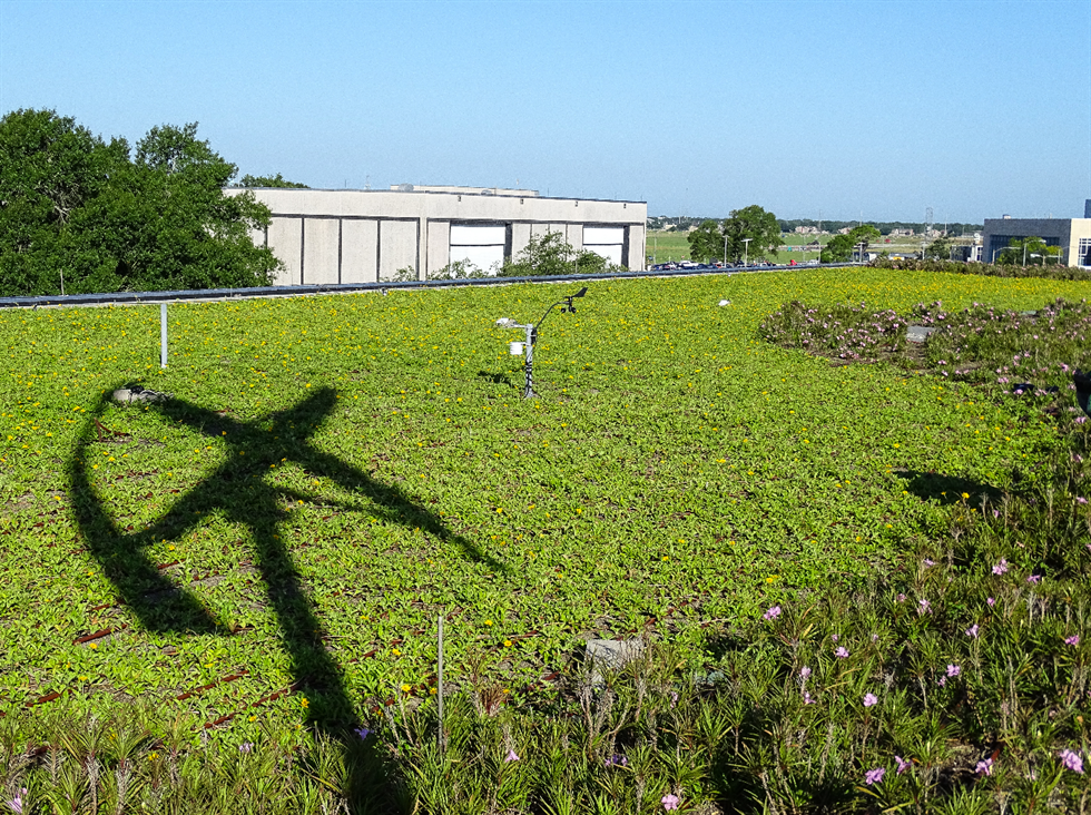 Green roof 