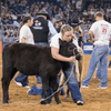 Rodeo Houston Honors NASA Night at NRG Stadium