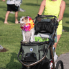 A group of people dressed in costumes outside during a race event.