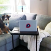 Daisy and Daisy (yes, they are both named Daisy!), helping Jerri Stephenson/SF work from home.