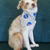 Lucy is a huge fan of NASA. Thank goodness her human, Ryan Amick/SF3, works there.