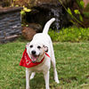 Coronavirus is no laughing matter, but Colby is sooo happy to have Cynthia Chism/GA close by.