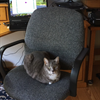 Smokey warms the chair for MarySue Bell/XI.